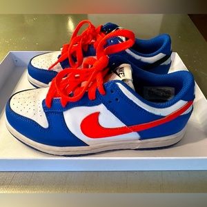 Nike dunk low boys Royal Crimson